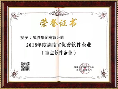 湖南省优异软件企业（重点软件企业）